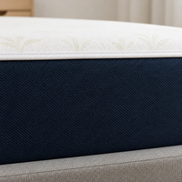 Housse de matelas ajustable en jacquard de bambou OEM 250 GSM avec membrane imperméable, bande élastique aux 4 coins et fermeture éclair personnalisée à 360 degrés