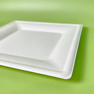 Sinh thái thân thiện phân hủy sinh học 10inch takeout khay thực phẩm hộp đựng thức ăn dùng một lần tấm vuông tấm - Product Image 6