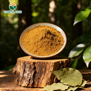 Supplément d'herbe cornée de chèvre Icariine Gnc Extrait de feuille d'épimedium Poudre d'extrait d'épimedium 10% Icariine - Product Image 2