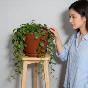 Pot de fleurs moderne en céramique indienne émaillée, durable et écologique, pour décoration de jardin <span class=keywords><strong>potager</strong></span>, avec plateau - Product Image 6