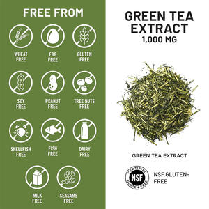 Натуральный экстракт зеленого чая, 60 капсул, сертифицирован по стандарту CGMP, 98% полифенолов - Product Image 3