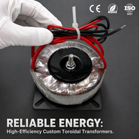 Transformateur toroïdal Tacway Pure Power haute efficacité sur mesure 700W, 98% d'efficacité, à noyau annulaire pour systèmes mondiaux