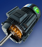 Coupe-fourrage de haute qualité au Népal, coupe-fourrage à essence pour aliments frais, machine à fabriquer l'alimentation pour chevaux et le fourrage du bétail
