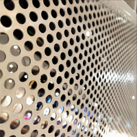 Grilles en acier inoxydable perforées, design perméable à l'air, résistantes à la température, surface facile à nettoyer, dimensions personnalisées, découpe sur mesure