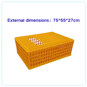 Gabbie Lunghe in Plastica Arancione per Polli, Stampate a Iniezione, per Trasporto Pollame Vivo con Coperchio - Product Image 6