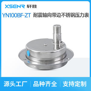 เกจวัดแรงดันสแตนเลสซูโจวซวนเซิง ขนาด 100 มม. 0-1.6Mpa แบบติดตั้งแกน ทนแรงกระแทก พร้อมเกลียวเชื่อมต่อ - Product Image 2