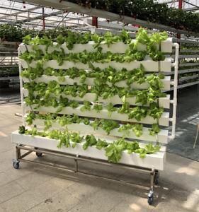 Sistema Hidropónico Vertical de Cultivo Aeropónico de PVC, Gran Oferta - Product Image 6