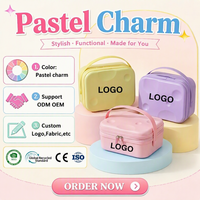 2025 nouveau mignon Dopamine Collection léger Portable étui cosmétique étanche fermeture éclair petite mode valise vente chaude