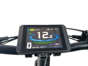QUEENE/Nouveau design, vélo électrique pour <span class=keywords><strong>femme</strong></span> à <span class=keywords><strong>cadre</strong></span> <span class=keywords><strong>bas</strong></span>, vélo électrique à pneus larges, vélo électrique pour adultes en provenance de Chine - Product Image 5
