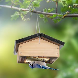 Durable Eco-Friendly Cedar Wood Solid Upside-Down Suet <strong>Feeder</strong> Winter <strong>Bird</strong> <strong>Feeders</strong> Outdoors Hanging Squirrel Proof Easy Refill - Product Image 6