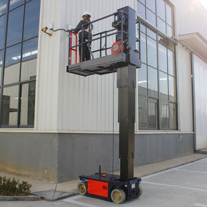Instalación de Equipos de Gimnasio: Elevador de Mástil Vertical - Product Image 1