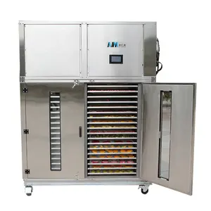 Commercial Apricot Mango Herb Mushroom Cabinet Onion Plantain Drying Dried Salted Fish Industrial Dryer Dry Food Fruit Machine