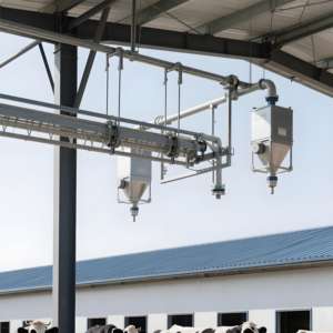 حظيرة الأبقار الفولاذية الجاهزة منخفضة التكلفة 20x50m 30x70m سهلة التجميع لبناء مزرعة 50- - Product Image 3