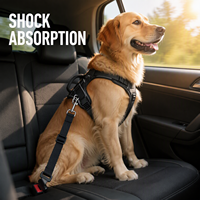 Ceinture de sécurité pour chien et chat, réglable, anti-choc, anti-saut, pour les trajets en voiture, 11 couleurs