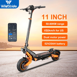 Trottinette Électrique Pro Road E9G Pliable à Deux Roues pour Adultes, Pneus de 11 Pouces, Capacité de Charge 150 kg - Product Image 1