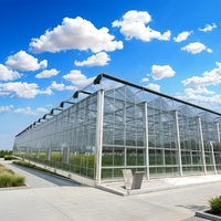 Grote multi-span klimaatkamer voor de teelt van groenten, bloemen en fruit met automatische irrigatie