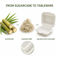 Boîte à clapet jetable en bagasse de canne à sucre, compartiment unique, pour la restauration à emporter et les services de traiteur (vente en gros)