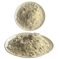 Protéine de levure de qualité alimentaire F80EC, stable thermiquement, saveur neutre, pour la pâtisserie, les produits carnés et la formulation de boissons