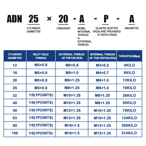 ADVU-32-40-50-63-80-100-125-I-A-P-A цилиндрический привод Advul Pacilindros Neumaticos цилиндрический прямой штекер - Product Image 3