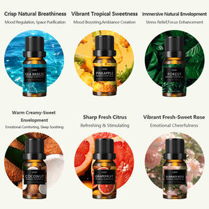 Commercio all'ingrosso di olio essenziale profumato set regalo per hotel e resort 100% puro floreale oli essenziali per olio essenziale diffusore di pietra - Product Image 3