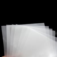 Film de transfert DTF OCBESETJET 13 x 19 pouces pour impression textile DTF, film PET pour imprimantes Epson WF7720 7710 7210 7820 7840