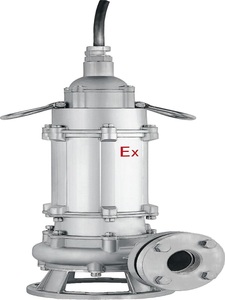 Bomba Sumergible para Aguas Residuales SUOU Serie BWQ-QG, de Acero Inoxidable, a Prueba de Explosiones, con Brida Estándar, 0.75kW - 15kW - Product Image 1