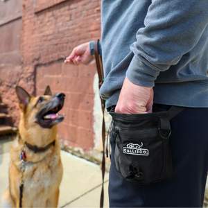 <span class=keywords><strong>Pochette</strong></span> à friandises pour chien avec fermeture à glissière magnétique | Sac d'<span class=keywords><strong>aide</strong></span> au comportement de formation de petite ceinture pour chien marchant avec sac à crottes - Product Image 6
