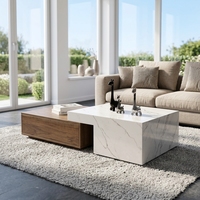 Table basse en bois pour salon, mobilier de maison moderne, combinaison circulaire, écologique, durable, facile à nettoyer, luxe léger, minimaliste