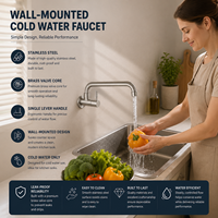 Robinet mural en acier inoxydable brossé pour eau froide, bec pivotant à 360 degrés, robinet d'évier de cuisine