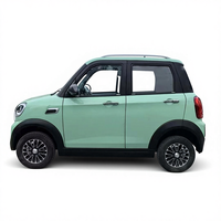 Mini voiture électrique certifiée EEC pour l'Europe, sièges en cuir, manuelle légère, nouveau design, véhicule électrique à 4 roues, basse vitesse