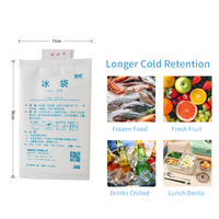 Pack froid réutilisable activé par l'eau avec logo personnalisé, anti-fuite, pour le transport d'épicerie et de fruits de mer, 300 ml