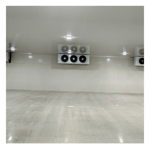 Fabricants <span class=keywords><strong>de</strong></span> chambres froides pour poissons, entrepôts frigorifiques, 100 tonnes, OEM/ODM - Product Image 5