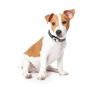 Anti-Lost Smart <span class=keywords><strong>Pet</strong></span> <span class=keywords><strong>GPS</strong></span>-<span class=keywords><strong>Tracker</strong></span> halsband 4g Echtzeit wiederauf ladbar für Haustiere - Product Image 3