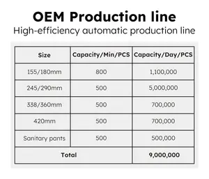 Tùy Chỉnh Phụ Nữ Thời Gian Quần Qua Đêm Đồ Lót Sản Xuất Thoáng Khí Dùng Một Lần Kinh Nguyệt Vệ Sinh Quần Lót Cho Phụ Nữ Pad