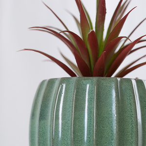 YUANWANG Decorazione Casa, <span class=keywords><strong>Piante</strong></span> Succulente Artificiali a Forma di <span class=keywords><strong>Cactus</strong></span> in Vaso di Ceramica, Guangdong - Product Image 5