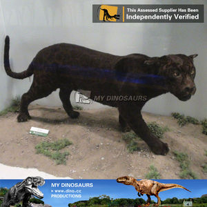 MyDino parque zoológico decoración Animal prehistórico vida tamaño Pantera estatua - Product Image 3