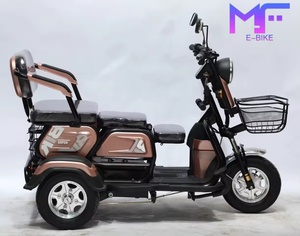 Usine <span class=keywords><strong>3</strong></span> <span class=keywords><strong>roues</strong></span> vélo électrique 600W 48V tricycles électriques pour adultes - Product Image 3
