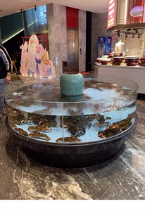 Bassin circulaire pour fruits <span class=keywords><strong>de</strong></span> <span class=keywords><strong>mer</strong></span>, bassin commercial pour supermarchés, bassin pour coquillages, aquarium pour fruits <span class=keywords><strong>de</strong></span> <span class=keywords><strong>mer</strong></span>, aquarium pour poissons, aquarium haut <span class=keywords><strong>de</strong></span> gamme pour hôtels, aquarium pour <span class=keywords><strong>eau</strong></span> <span class=keywords><strong>de</strong></span> <span class=keywords><strong>mer</strong></span> - Product Image 4