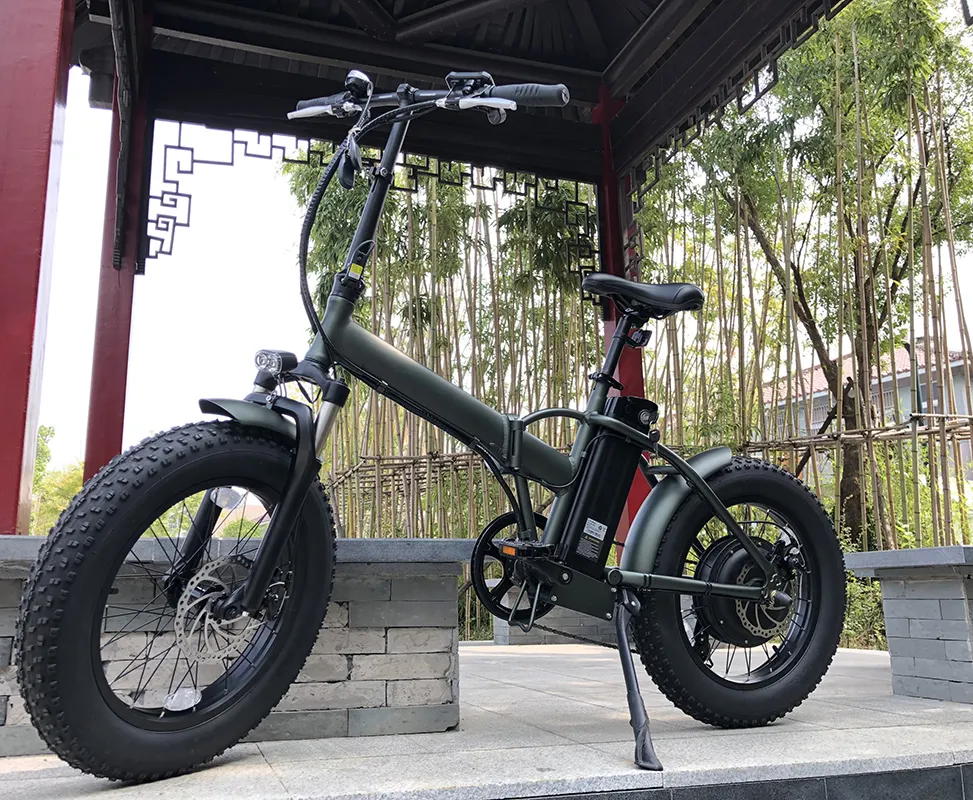 चीन थोक मूल्य तह ई बाइक 48 v 1000 w 20 inch समुद्र तट क्रूजर उच्च गति इलेक्ट्रिक बाइक