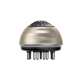 Peigne chauffant personnalisé de qualité supérieure avec manche en plastique, applicateur d'huile pour le cuir chevelu et masseur pour usage domestique - Product Image 1