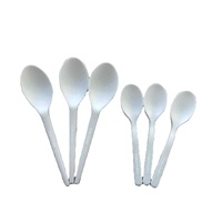 Cuillère à café biodégradable en CPLA, jetable et compostable, pour desserts, écologique, simple, pour fêtes
