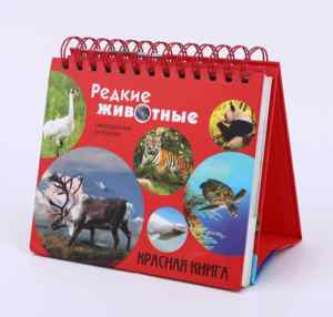 <span class=keywords><strong>2025</strong></span> biểu tượng tùy chỉnh lịch bàn với đứng lật Thiết kế ngày xoắn ốc cuộn dây ràng buộc 365 ngày hàng ngày Bảng lịch-Bán buôn - Product Image 3