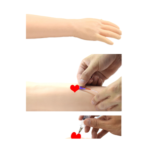 Ponction artério-veineuse et injection intramusculaire bras modèle <span class=keywords><strong>transfusion</strong></span> sang dessin pratique infirmière médecin injection - Product Image 6