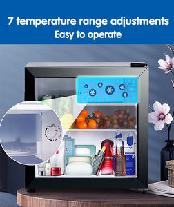 <span class=keywords><strong>Mini</strong></span> porte en verre refroidisseur bière boisson refroidisseur comptoir armoire Commercial <span class=keywords><strong>Mini</strong></span> réfrigérateur petit refroidisseur - Product Image 4