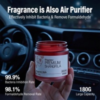 Baume Parfumé Purificateur d'Air pour Voiture 100g, Parfum Solide Premium Shangri La, Éliminateur d'Odeurs et de Formaldéhyde 99,9%, Antibactérien, Hypoallergénique
