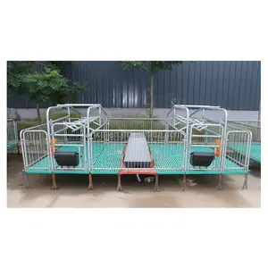High quality and lower price Pig Farm Equipment pig sow cage animal farm equipment