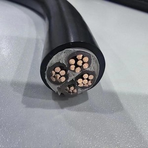 Kabel Daya <span class=keywords><strong>2</strong></span> Inti YJV Standar Nasional Inti Tembaga Bebas Oksigen PVC Tahan Api untuk Penggunaan Rumah & Teknik - Product Image 3