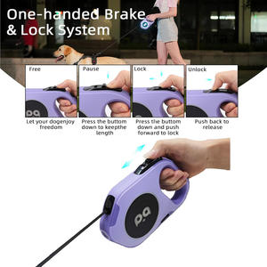 Correa Retráctil de Lujo para Perros con USB, 5m de Nylon con Linterna LED, Éxito de Ventas en Amazon, para Paseos al Aire Libre - Product Image 1