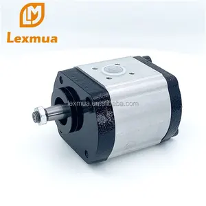 fast logistics china Lexmua replace Caproni brand hydraulic gear pump Group 00 10 20 30 series gear pump