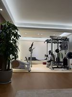 Machine Smith multifonctionnelle robuste 3-en-1 en acier pour entraînement de fitness en salle de sport